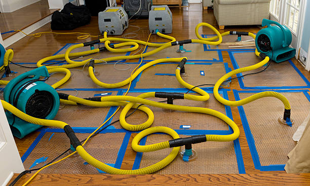 Professional Storm Water Damage Restoration technician working in Pollocksville, NC